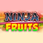 Ninja Fruits game thumbnail